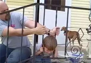 乔伊卡,探寻神秘世界的奇幻之旅