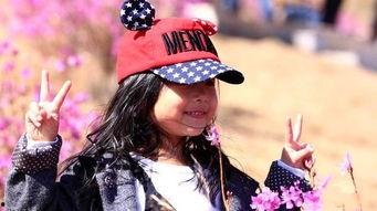 杜鹃的婚约 第二季