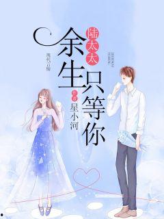 陆太太，余生只等你,只为你守候的爱情传奇