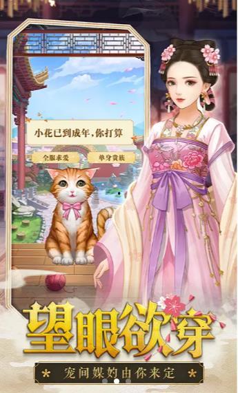 王妃娘娘闯现代（天后修炼手册）,王妃娘娘的现代修炼之旅