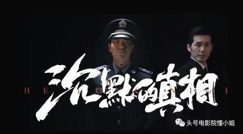 沉默的真相,探寻真相背后的黑暗与光明